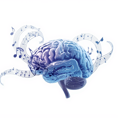 BRAIN & Music Notes